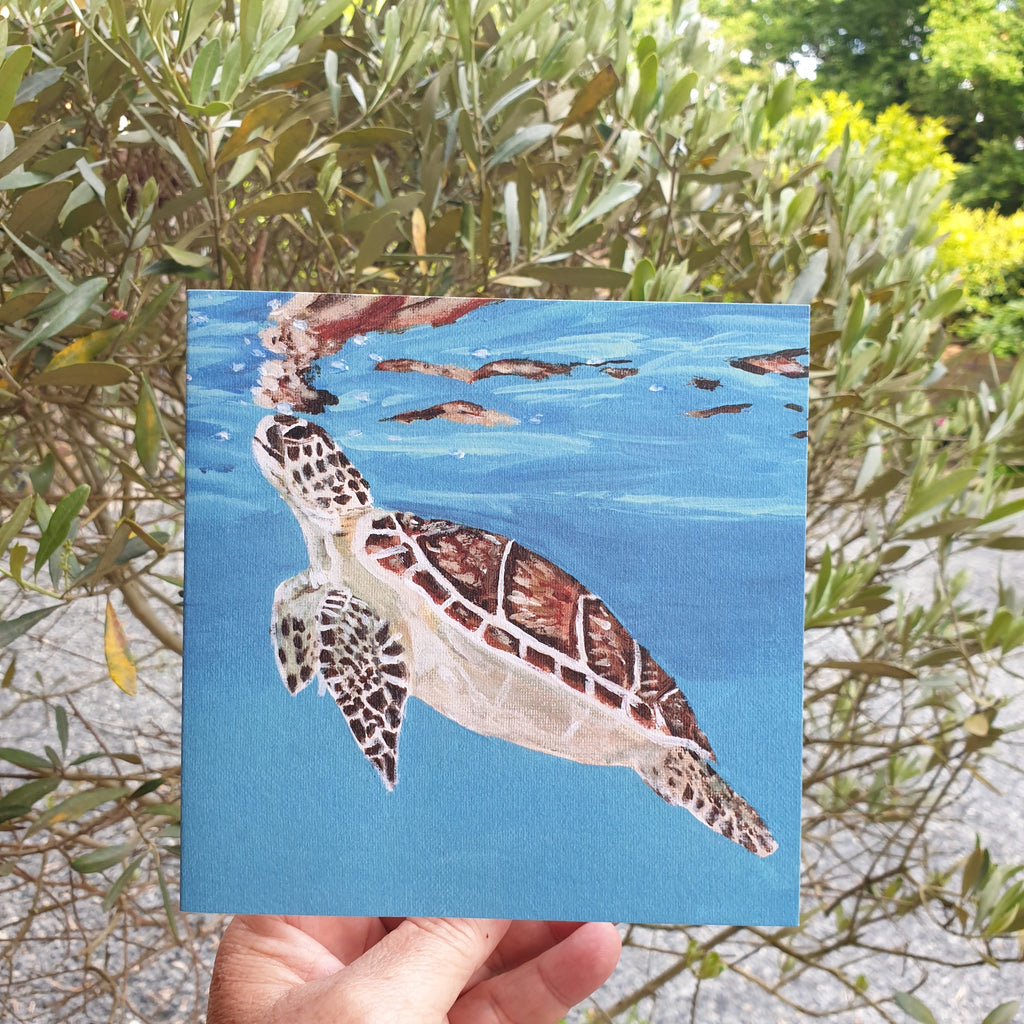 Caribbean Sea Turtle Greetings Card