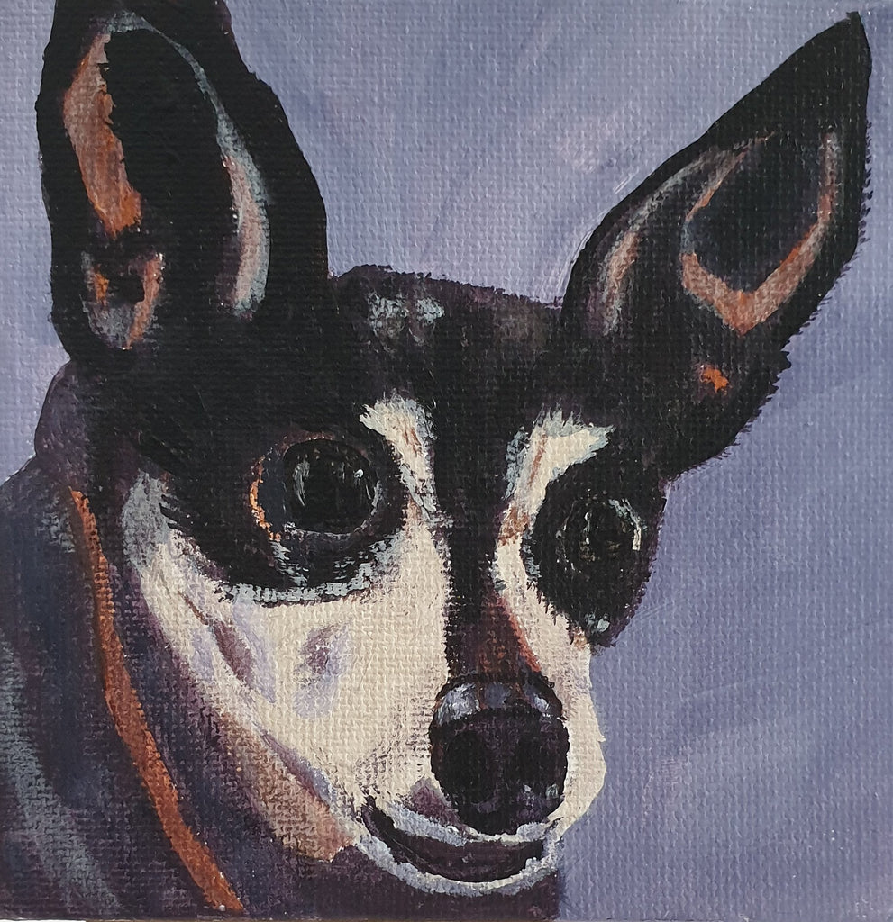 Chihuahua - Original Painting