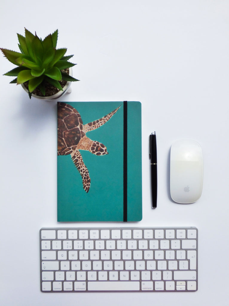 Colourful Stationery Inspired by Nature