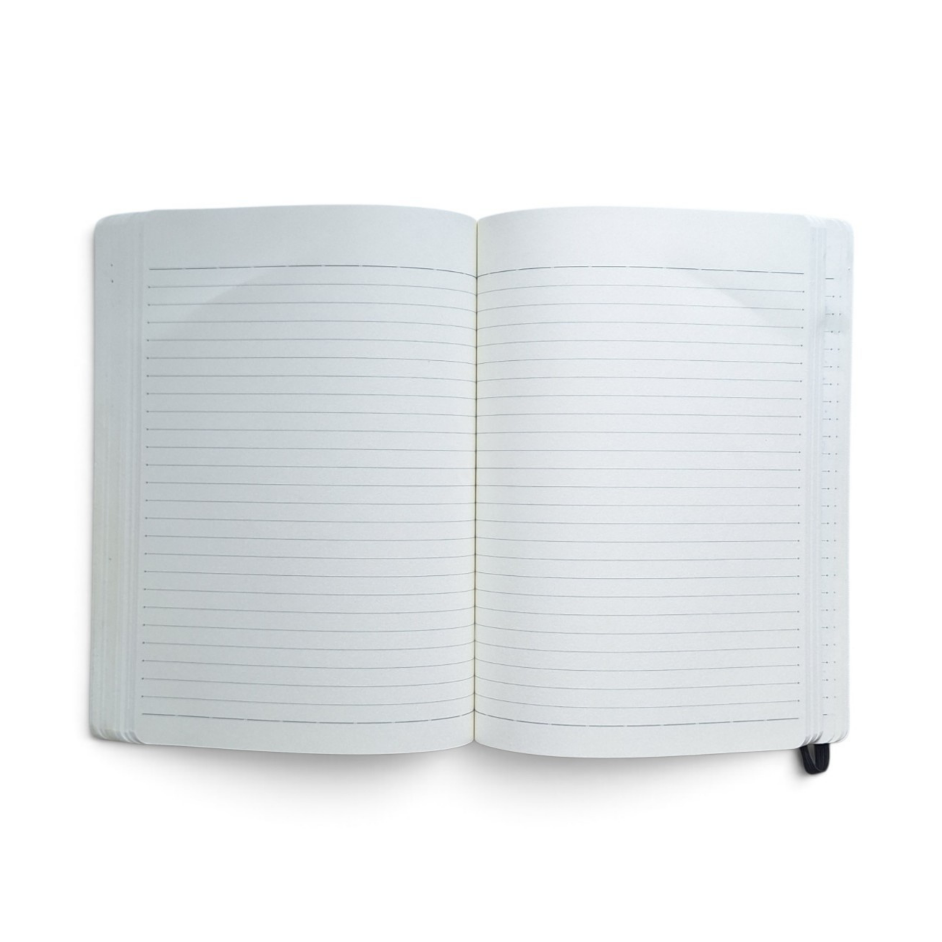 The Lookout - Puffin Luxury A5 Notebook