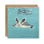 Baby Sea Turtle Greetings Card