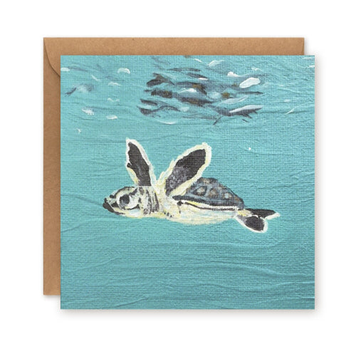 Baby Sea Turtle Greetings Card