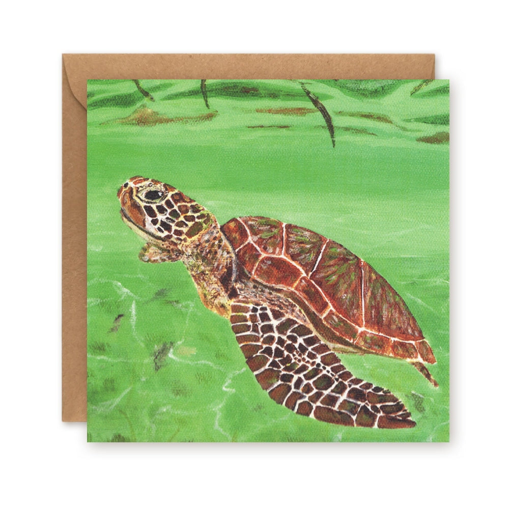Bahamar Turtle Greetings Card