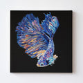 Betta Fish - Original Painting