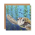 Curious Turtle Greetings Card