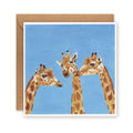 Gossiping Giraffes Greetings Card
