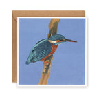 Kingfisher Greetings Card