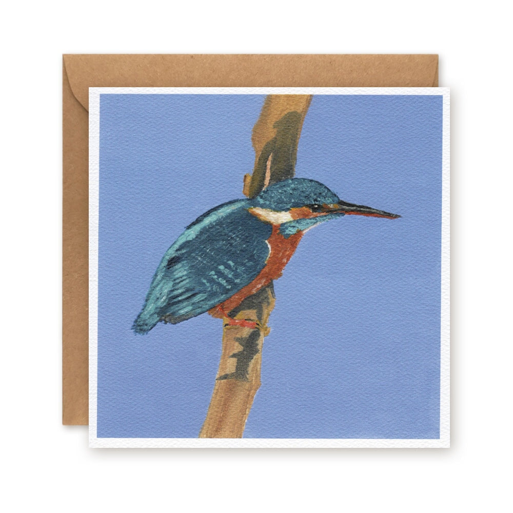 Kingfisher Greetings Card