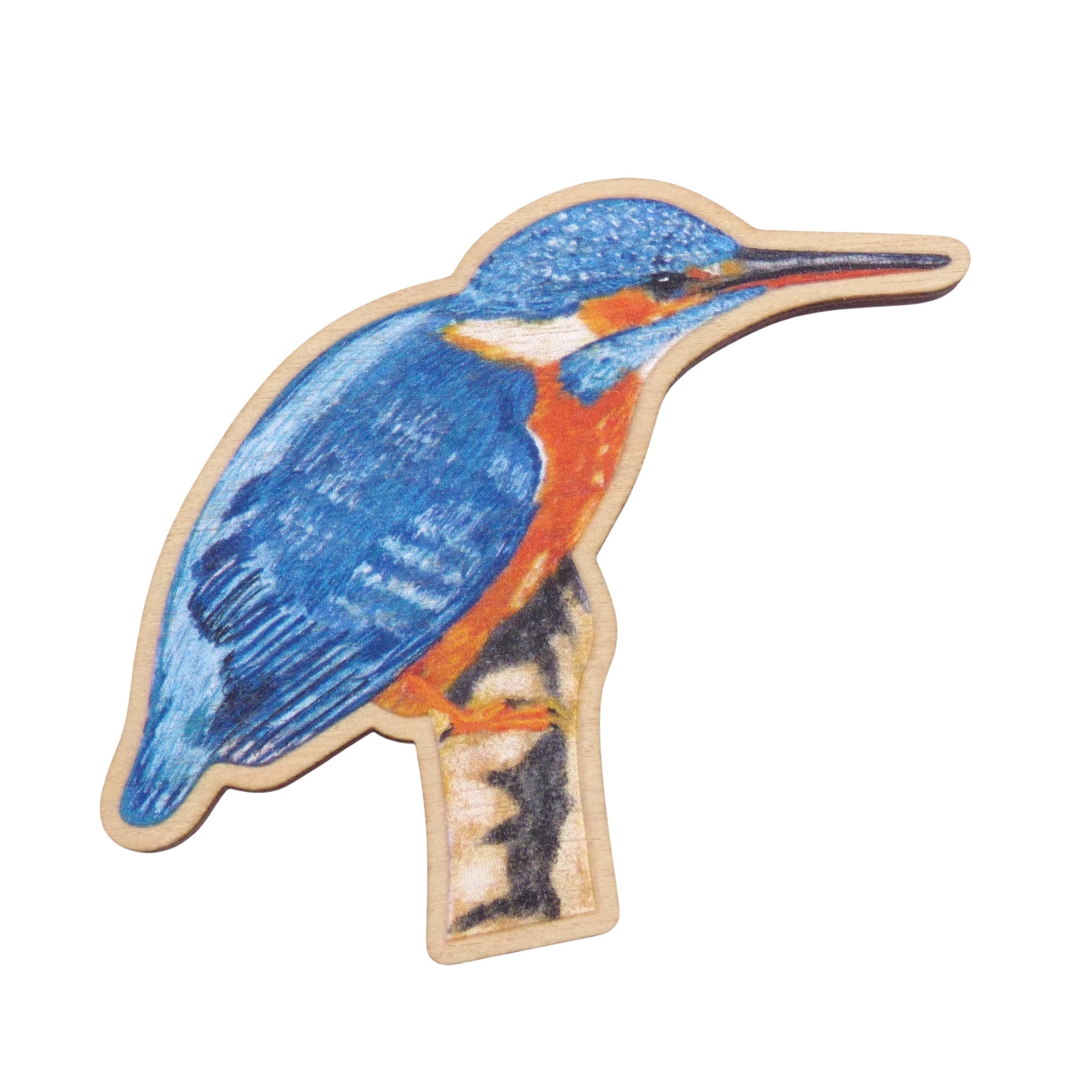 Kingfisher Magnet