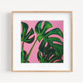 Monstera Rose Fine Art Print