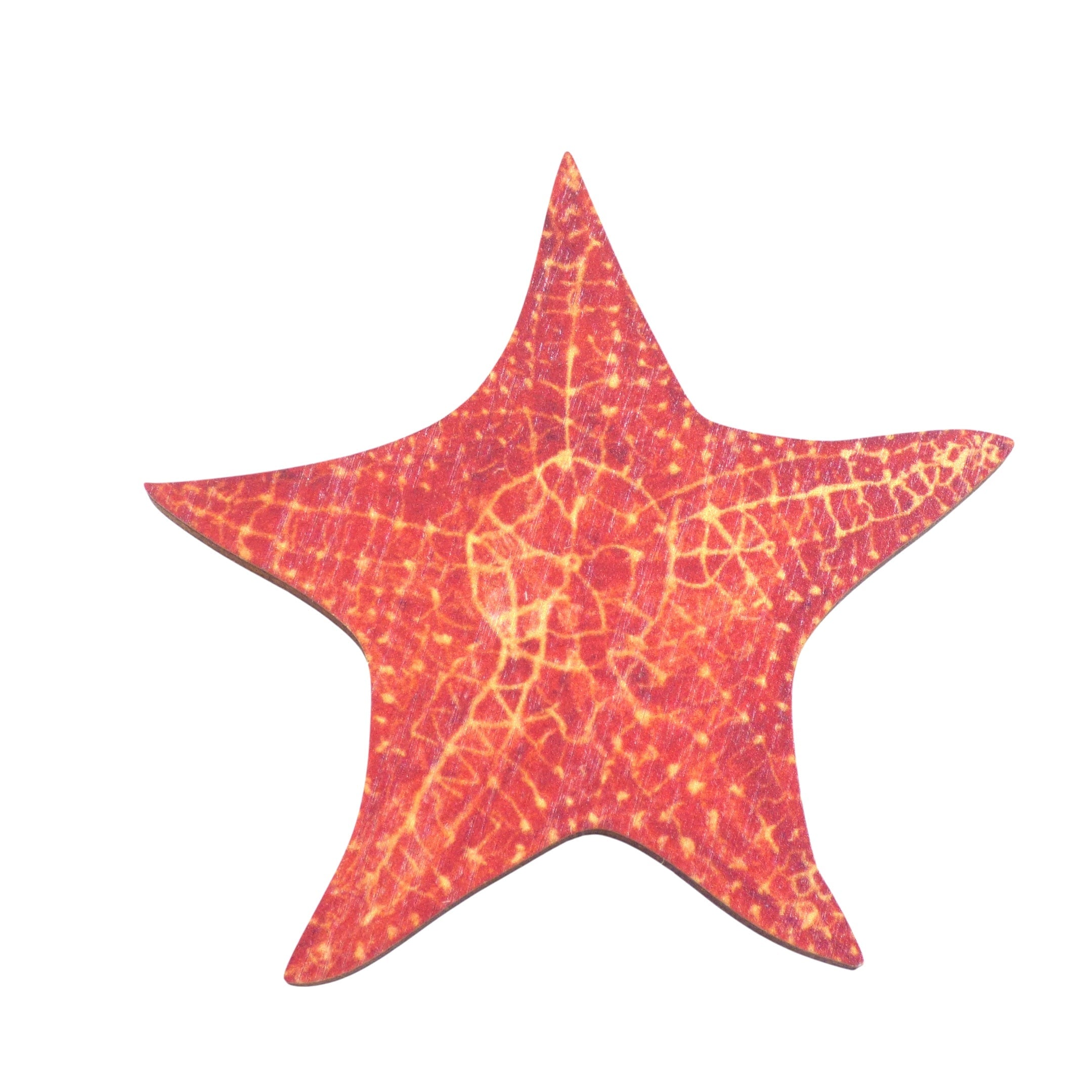 Starfish Magnet