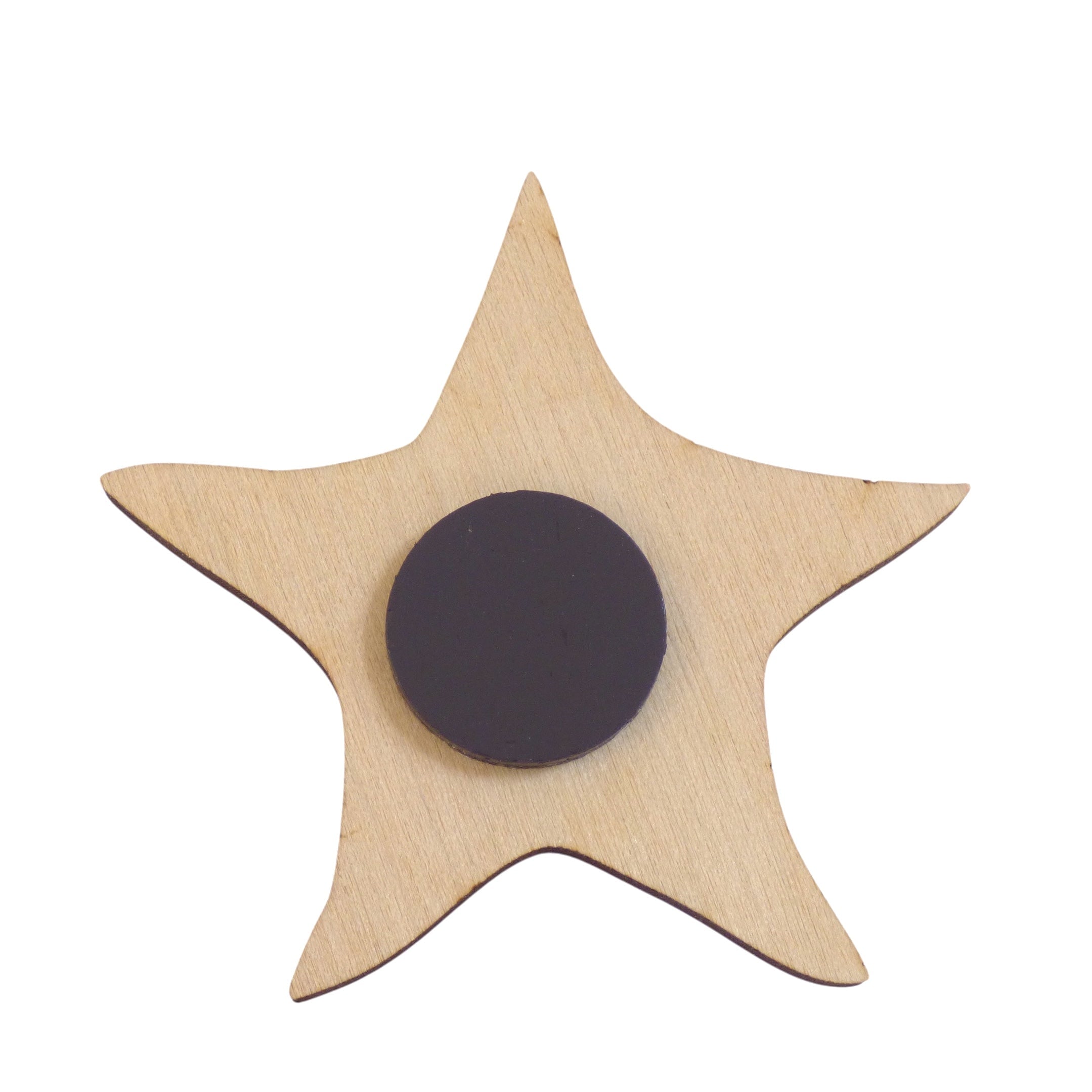 Starfish Magnet