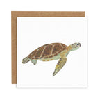 Turtle Greetings Card