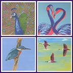 4 pack of Bird Greetings Card