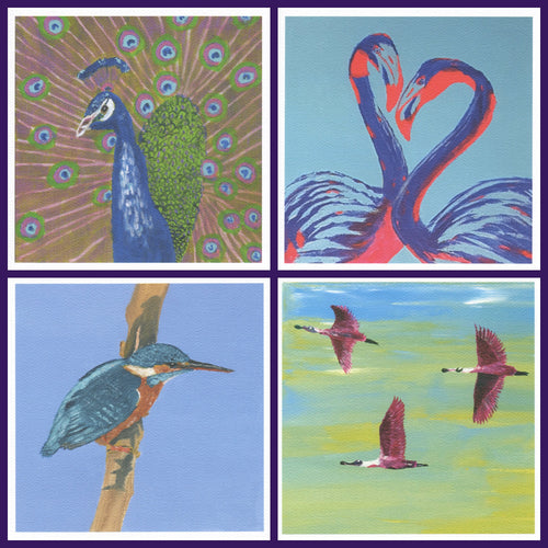 4 pack of Bird Greetings Card