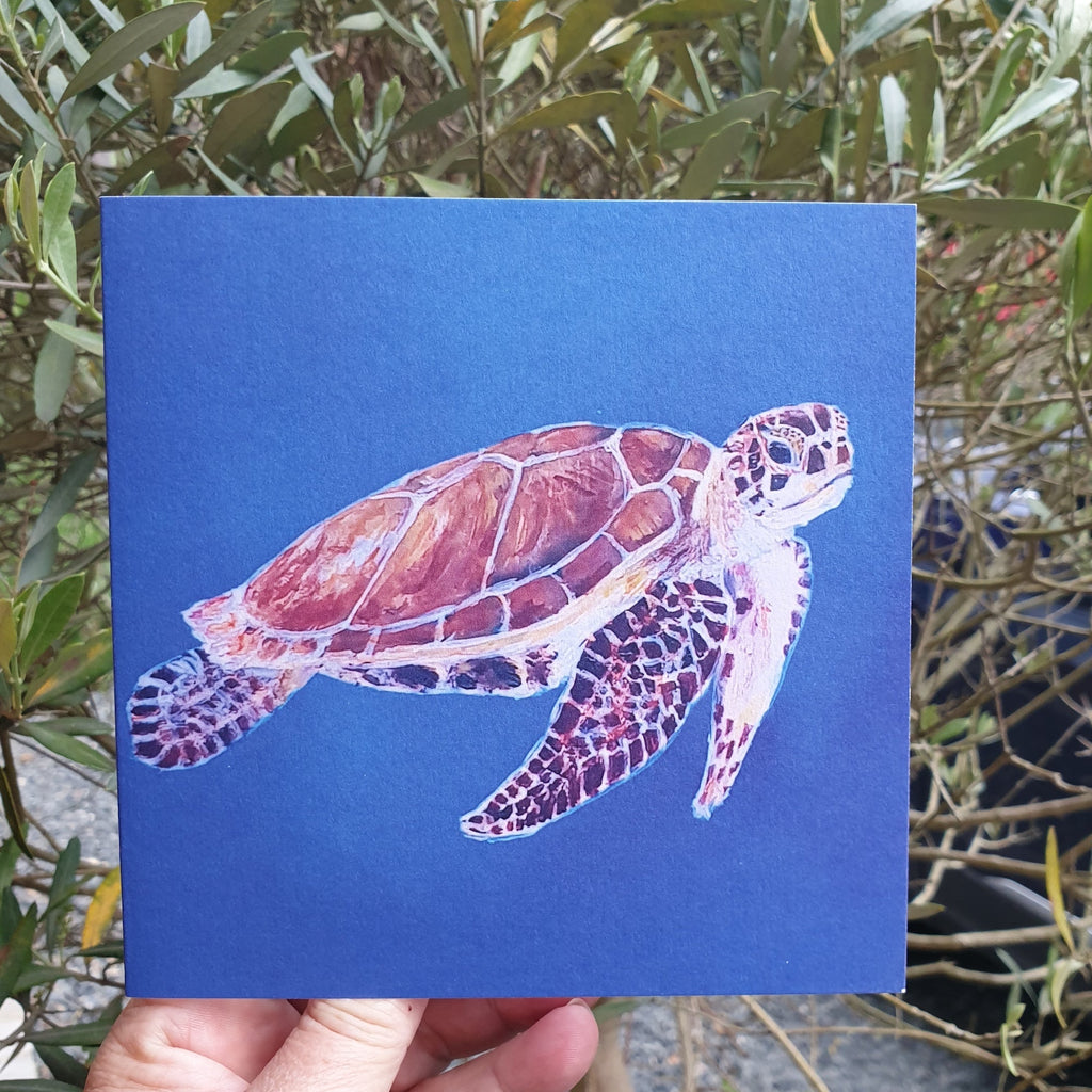 Abaco Turtle swimming Greetings Card