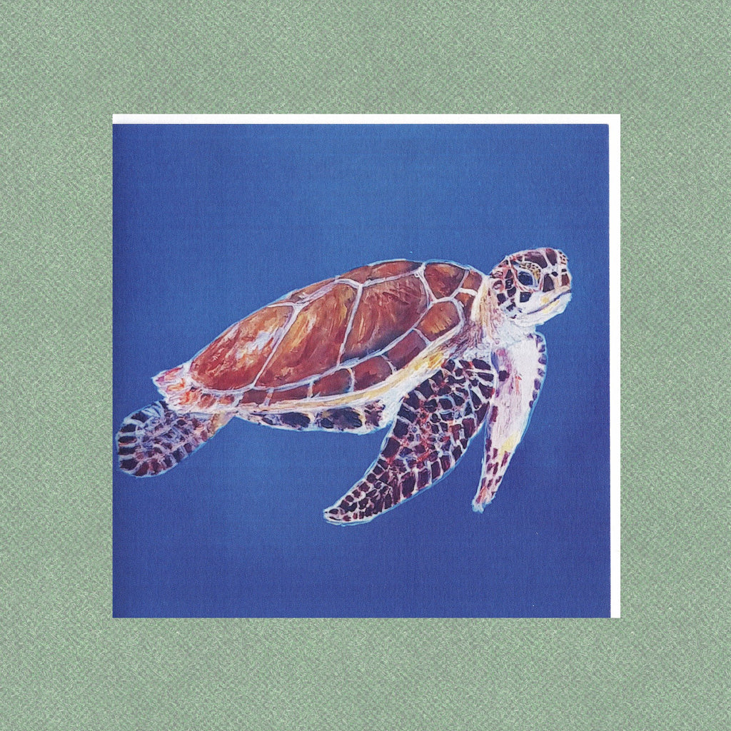 Abaco Turtle swimming Greetings Card