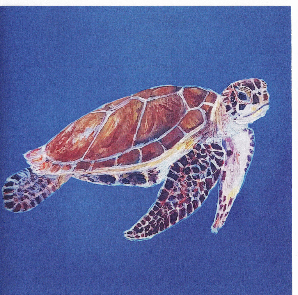 Abaco Turtle swimming Greetings Card