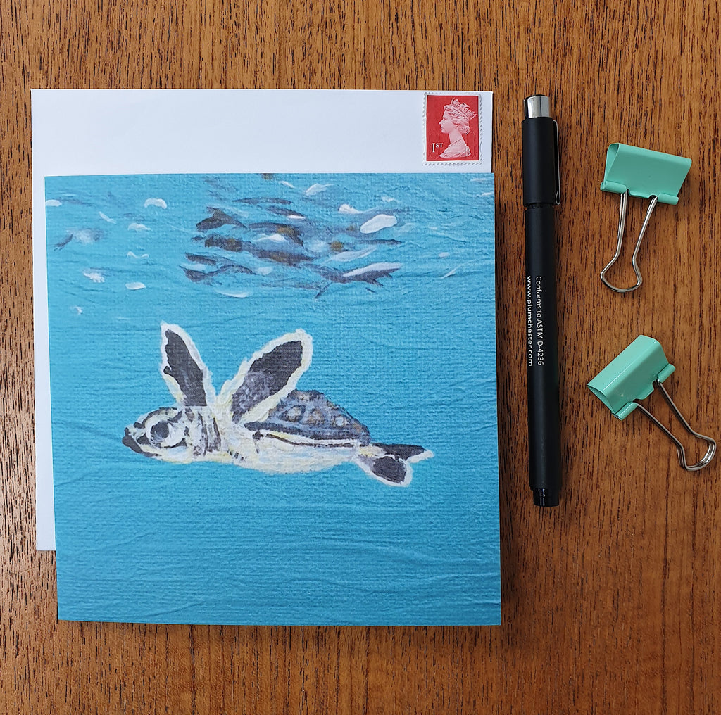 Baby Sea Turtle Greetings Card