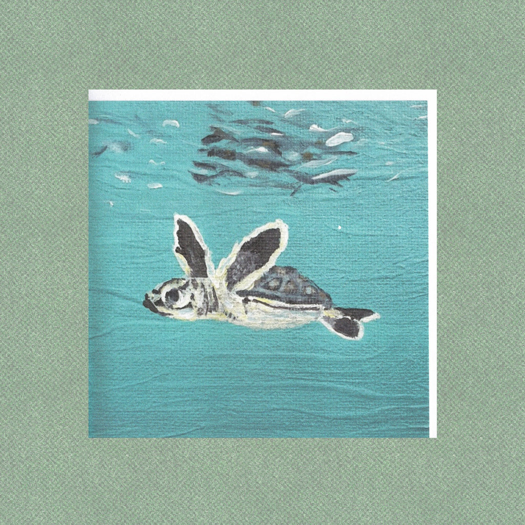 Baby Sea Turtle Greetings Card