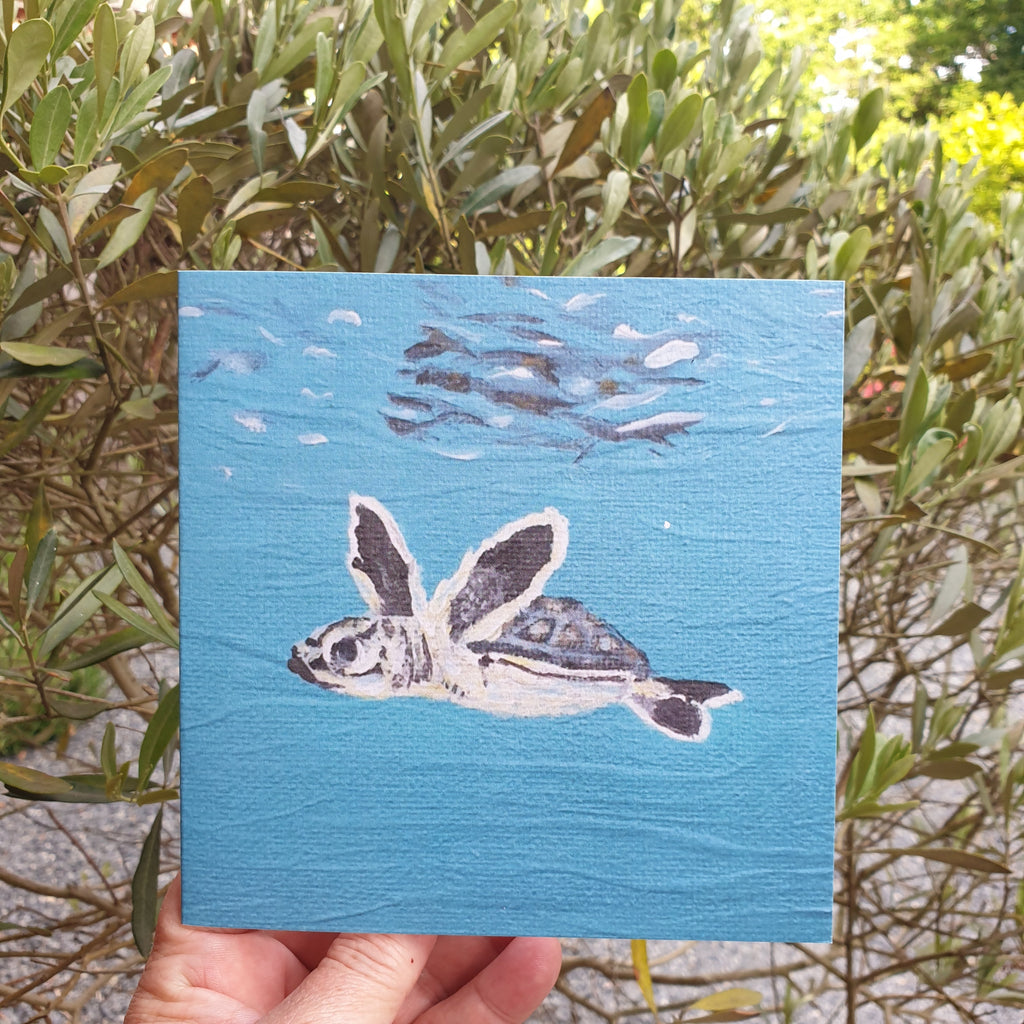 Baby Sea Turtle Greetings Card