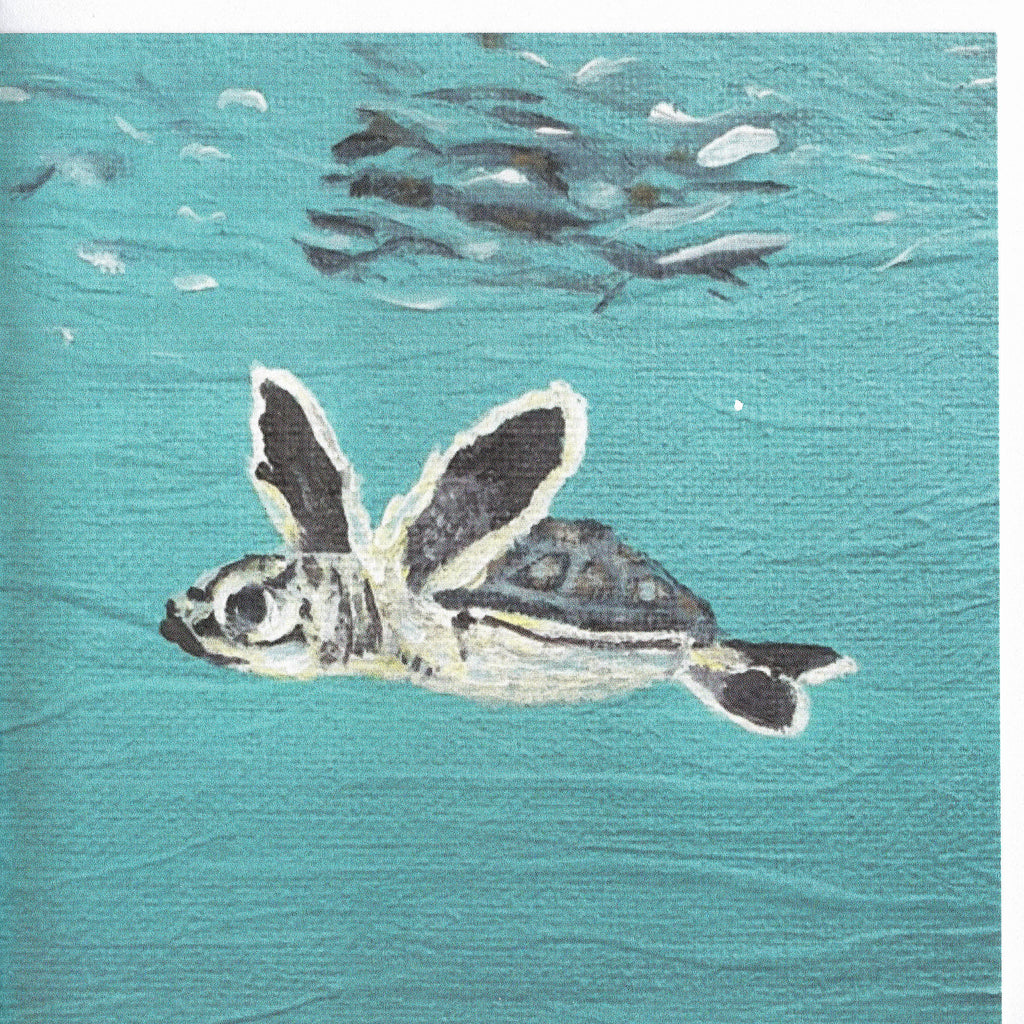 Baby Sea Turtle Greetings Card