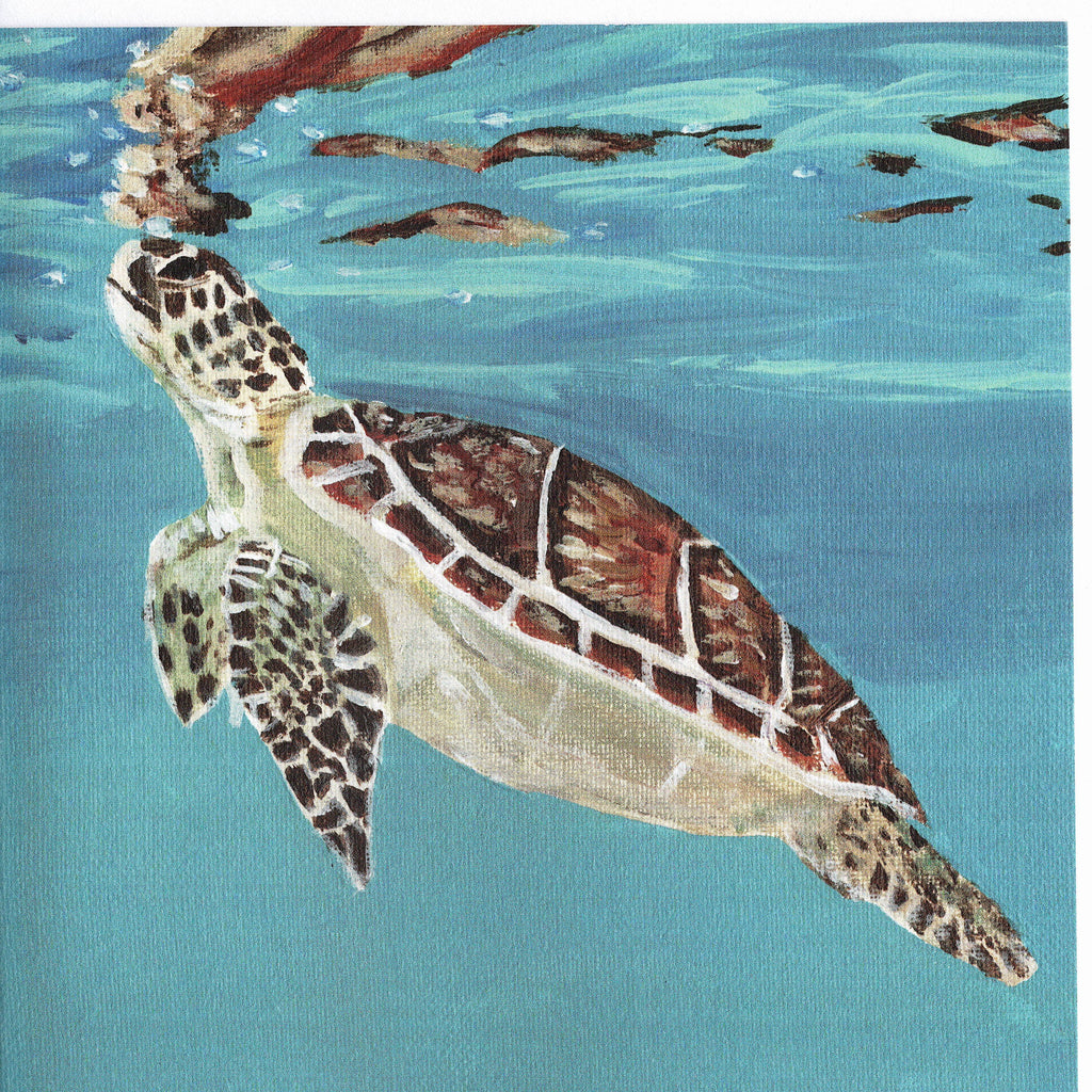 Caribbean Sea Turtle Greetings Card