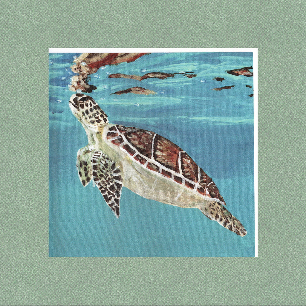 Caribbean Sea Turtle Greetings Card