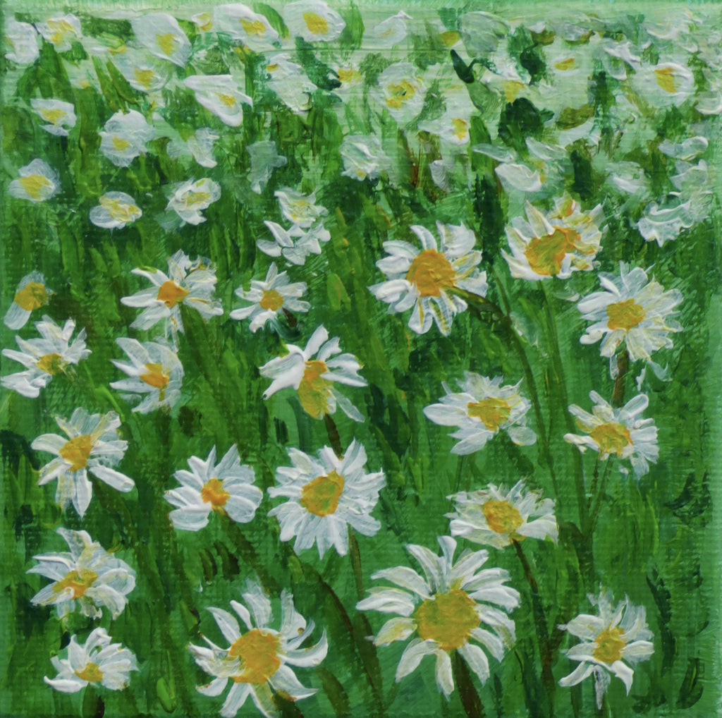 Daisies - Original Painting