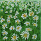 Daisies - Original Painting