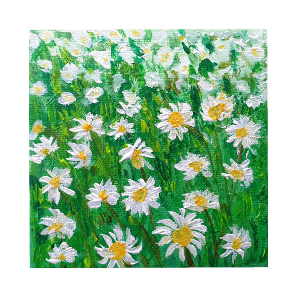 Daisies - Original Painting