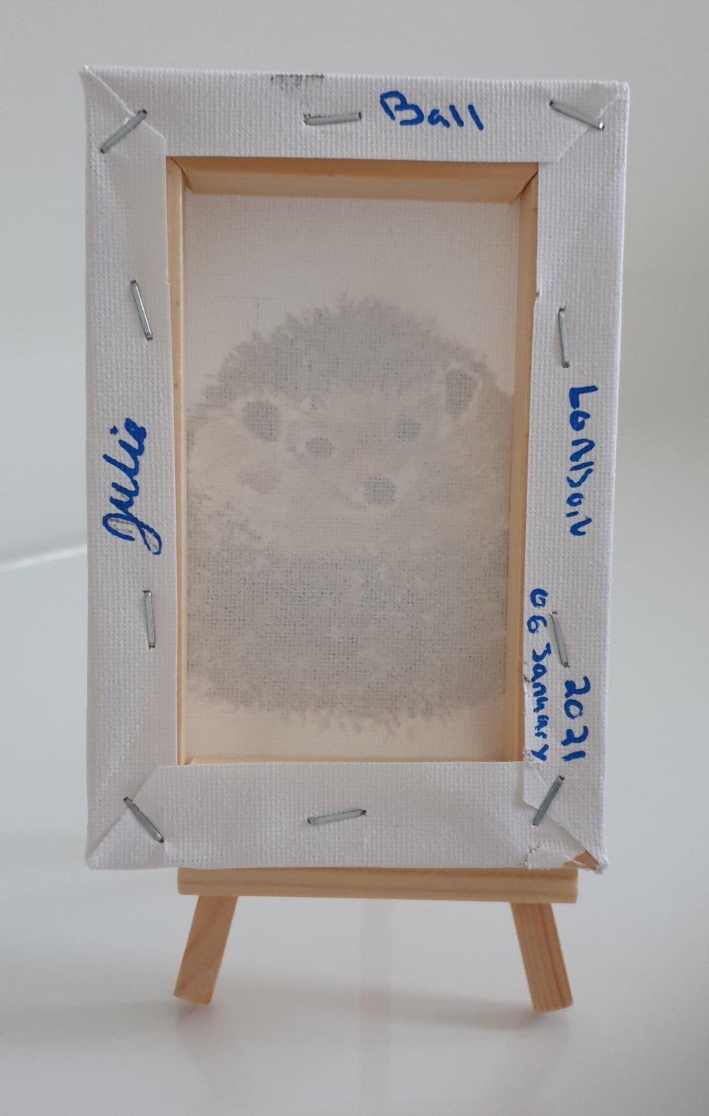 Hedgehog Ball - Original Painting