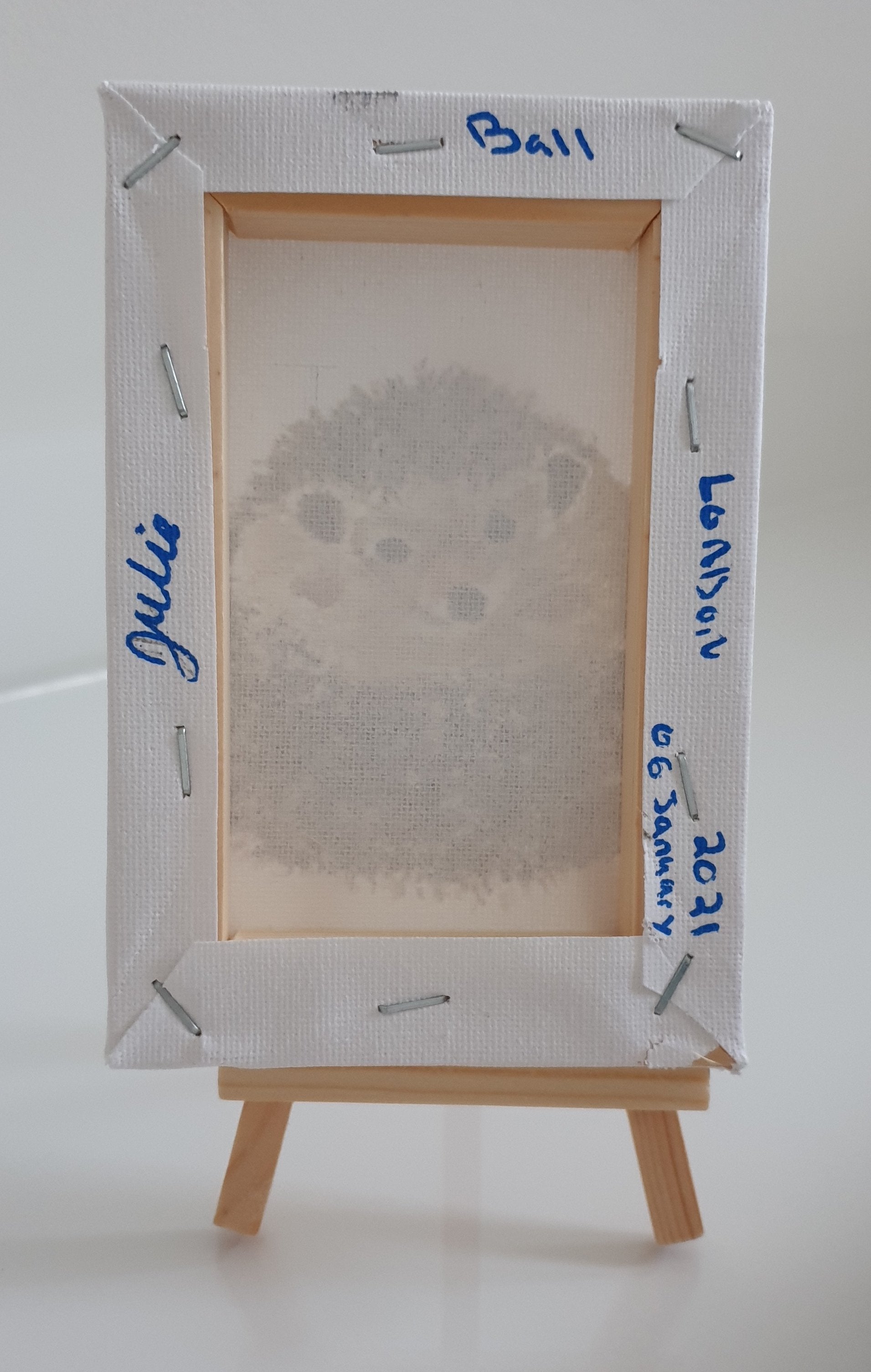 Hedgehog Ball - Original Painting