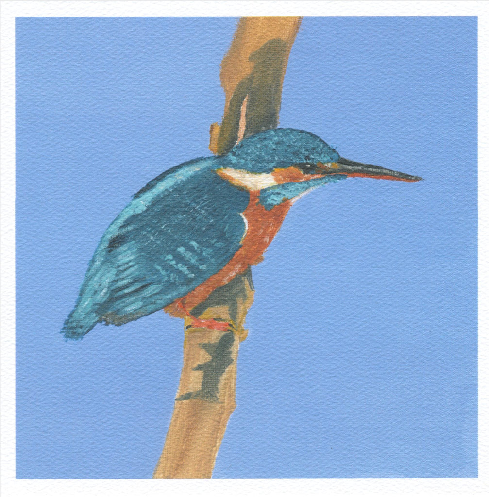 'Kingfisher' Greetings Card