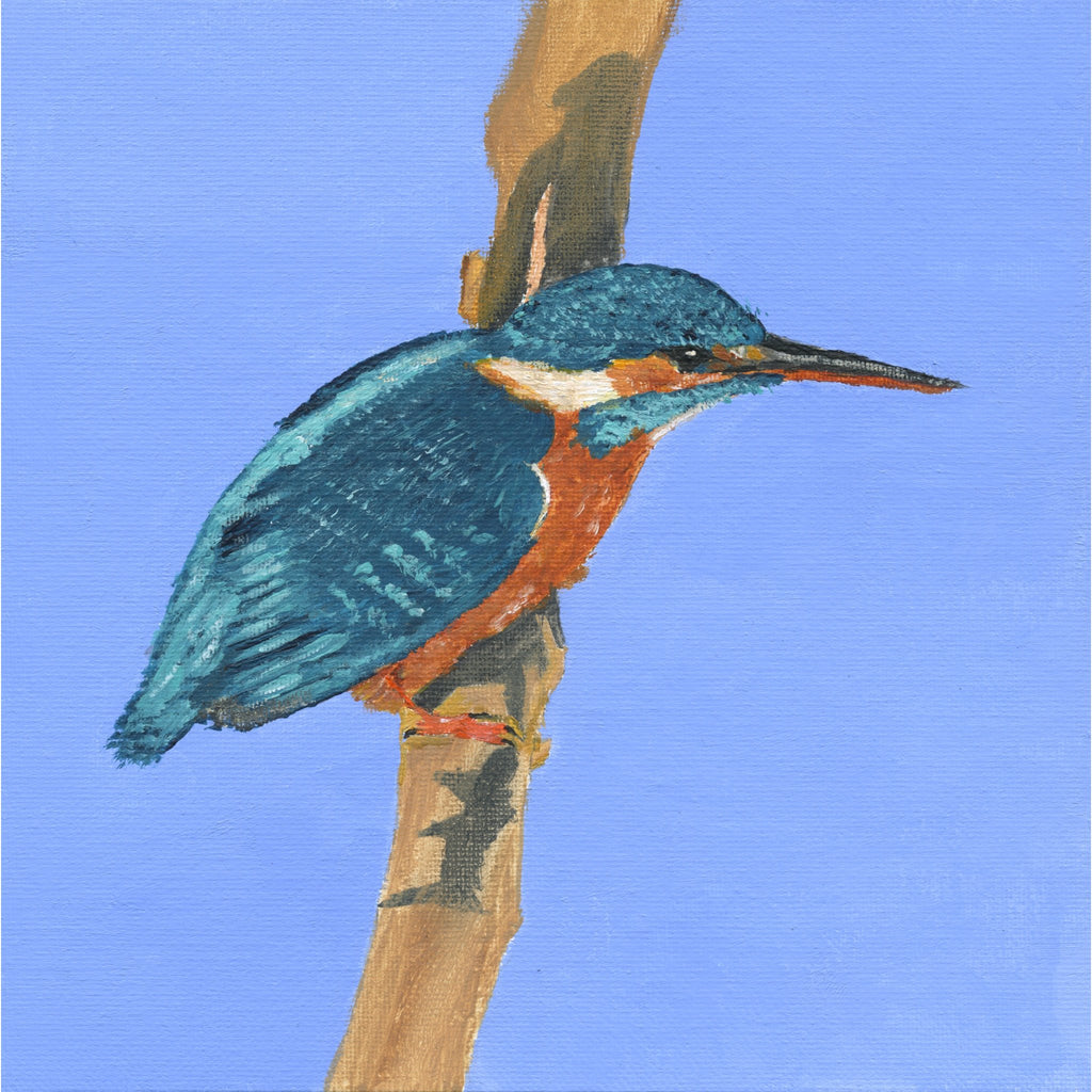 The Kingfisher - Original Painting