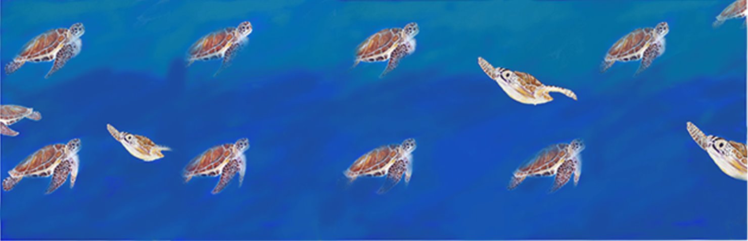 Turtle Sarong