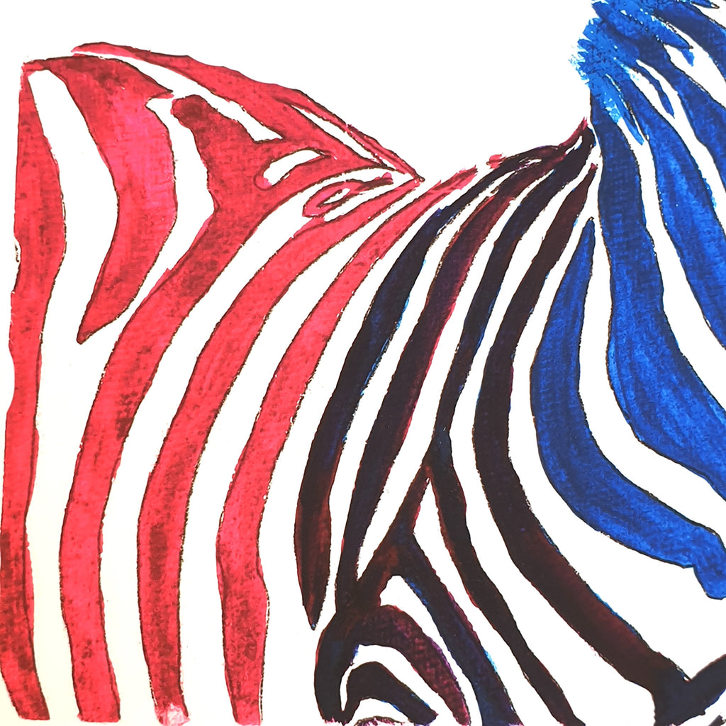 Zebra Fine Art Print