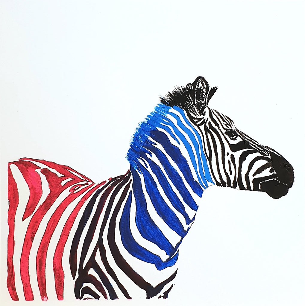 Zebra Fine Art Print